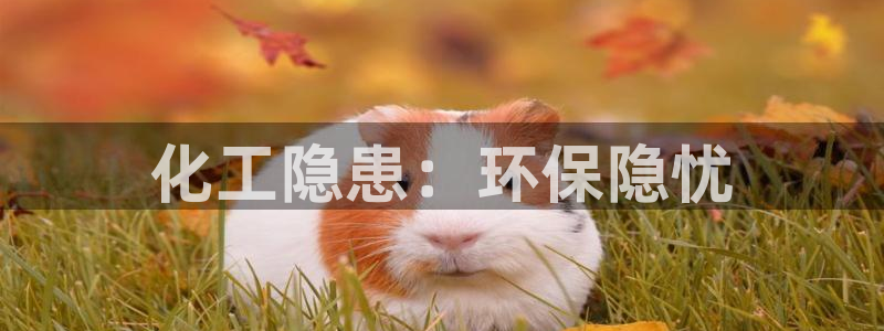 亿万同人字幕组微博的微博：化工隐患：环保隐忧