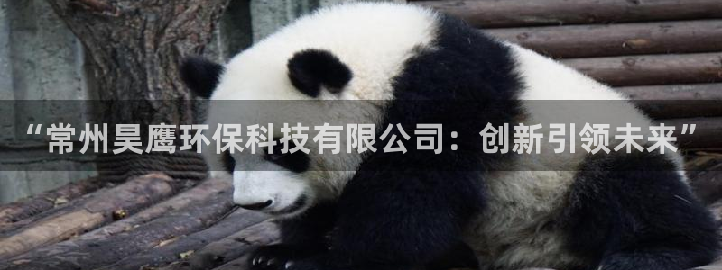 亿万百度百科：“常州昊鹰环保科技有限公司：创新引领未来”