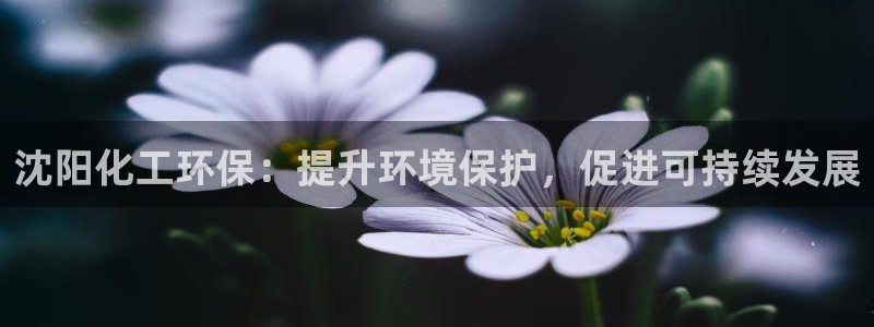 亿万先生客户端怎么下载：沈阳化工环保：提升环境保护，促进可持续发展