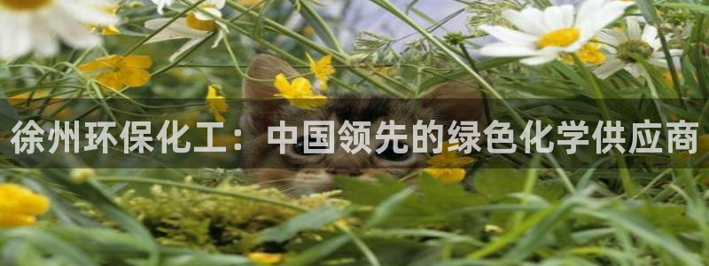 亿万先生官方网站：徐州环保化工：中国领先的绿色化学供应商