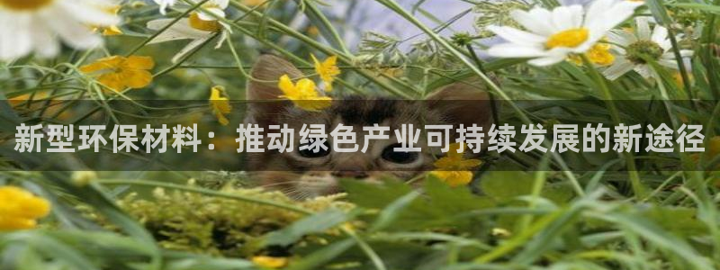 亿万剧情介绍：新型环保材料：推动绿色产业可持续发展的新途径