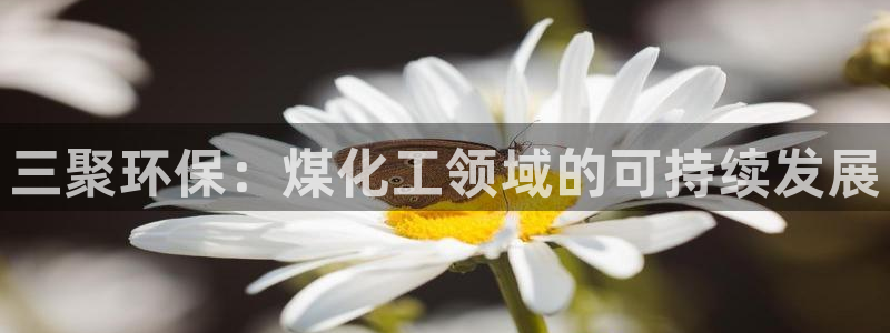 亿万先生客户端官网下载：三聚环保：煤化工领域的可持续发展