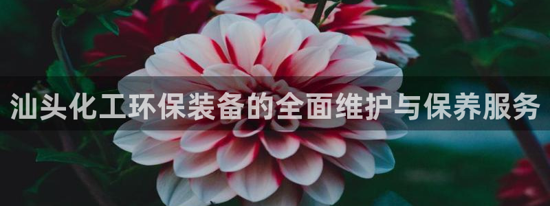 亿万先生 手机版下载