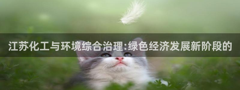 亿万先生手机版入：江苏化工与环境综合治理:绿色经济发展新阶段的