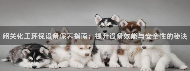 亿万先生客户端官网下载：韶关化工环保设备保养指南：提升设备效能与安全性的秘诀