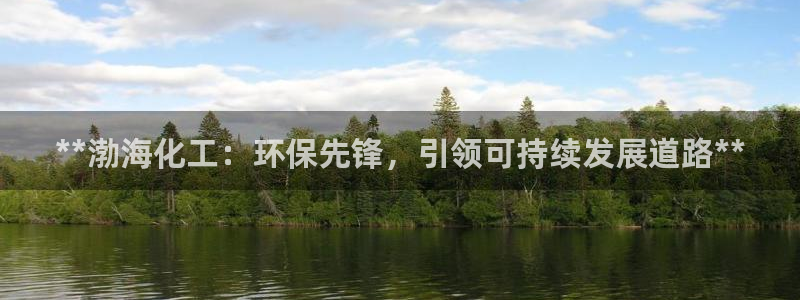 亿万百度吧：**渤海化工：环保先锋，引领可持续发展道路**