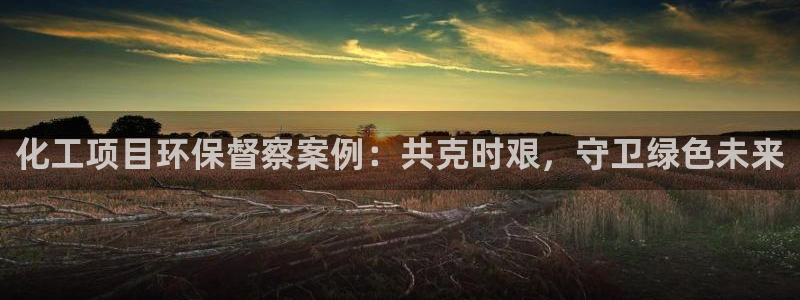 亿万网友在线解答：化工项目环保督察案例：共克时艰，守卫绿色未来