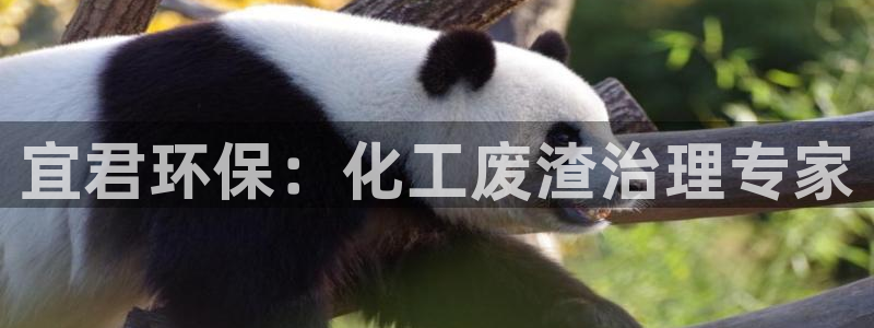 mr07亿万先生：宜君环保：化工废渣治理专家