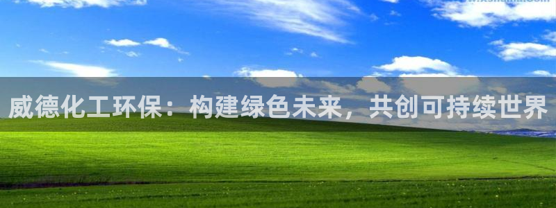 亿万集团有限公司：威德化工环保：构建绿色未来，共创可持续世界