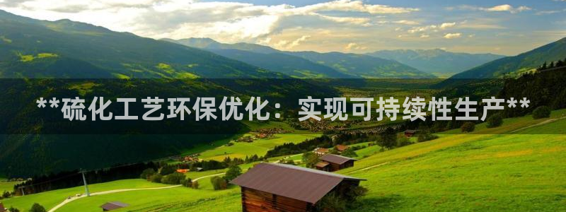 亿万第一季解说：**硫化工艺环保优化：实现可持续性生产**