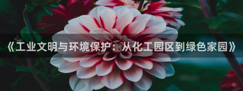 亿万先生网站下载：《工业文明与环境保护：从化工园区到绿色家园》