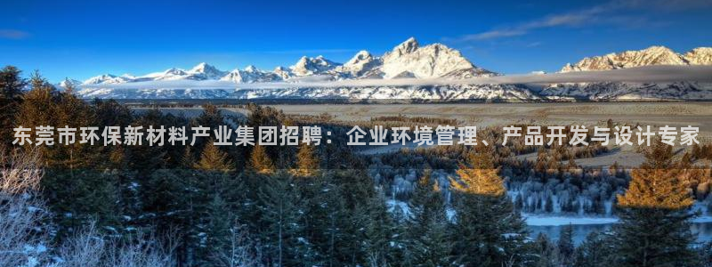亿万先生网站下载：东莞市环保新材料产业集团招聘：企业环境管理、产品开发与设计专家