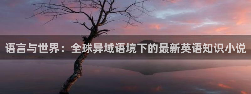 番薯小说免费版下载app：语言与世界：全球异域语境下的最新英语知识小说