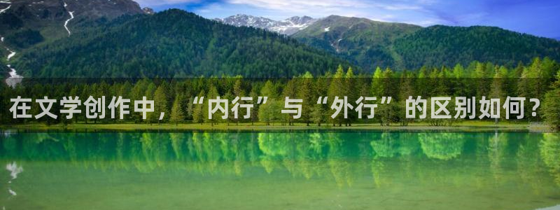 番薯小说免费版下载安装：在文学创作中，“内行”与“外行”的区别如何？