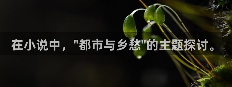 番薯免费小说下载