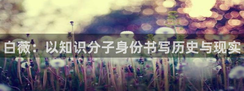 番薯小说网页版在线